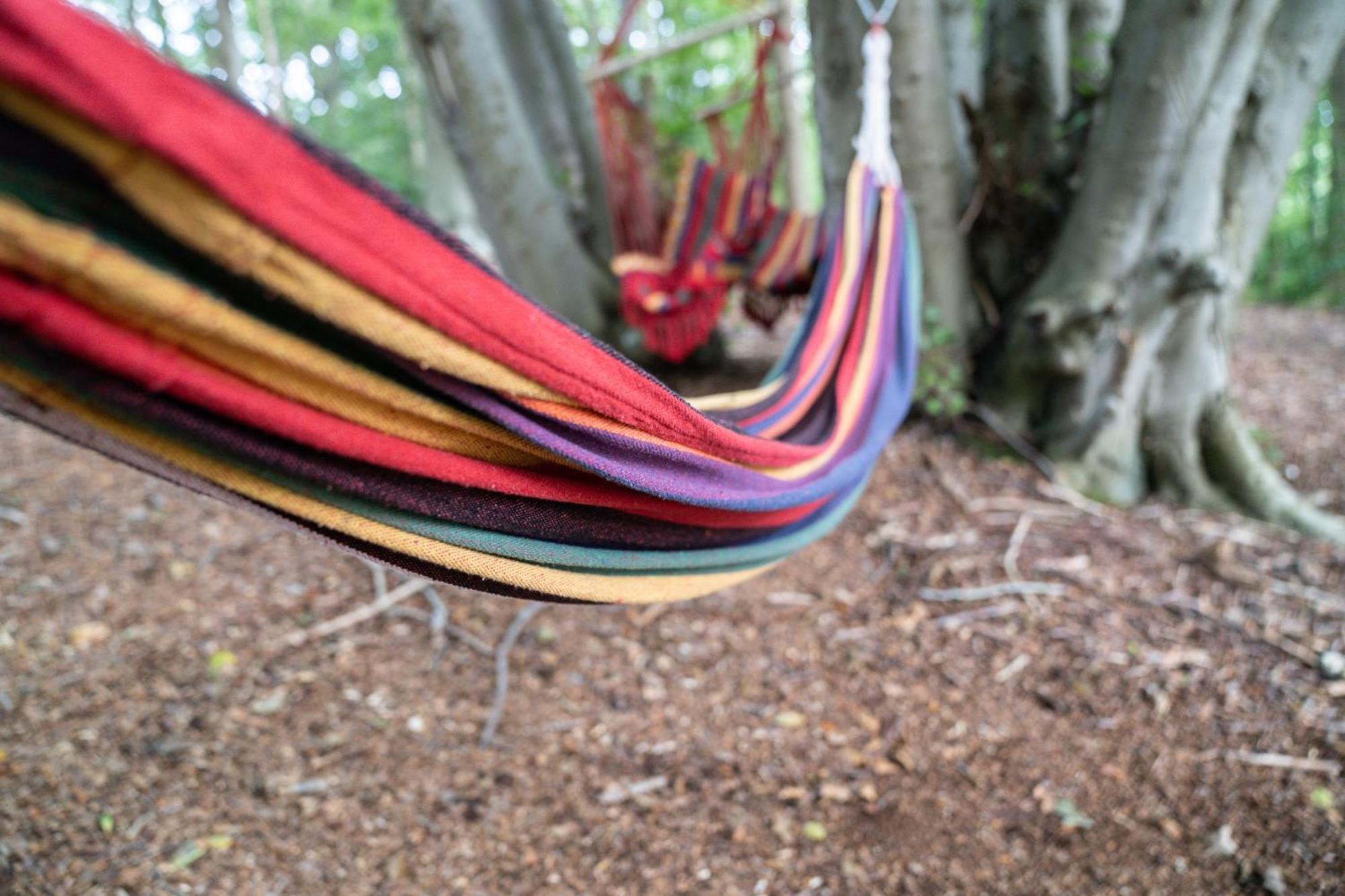 Gite 9 Personnes Fecamp Etretat Colleville Zewnętrze zdjęcie