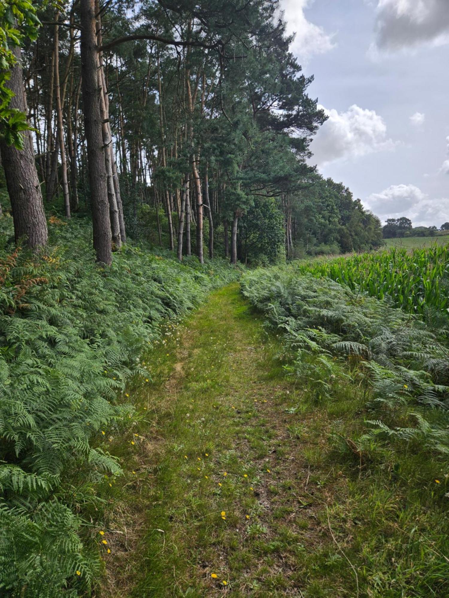 Gite 9 Personnes Fecamp Etretat Colleville Zewnętrze zdjęcie